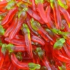 peperoncino