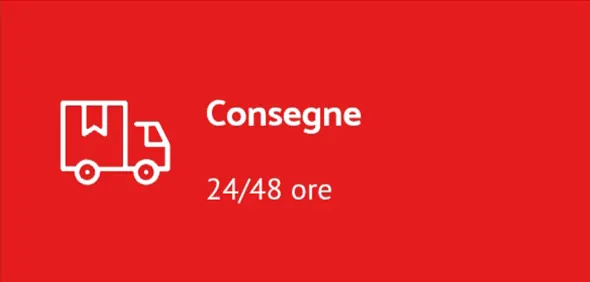 spedizioni-24h-48h-rigolosamente